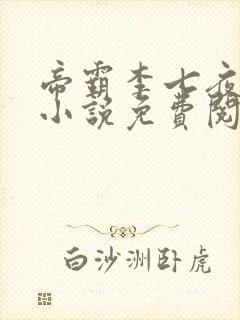 帝霸李七夜正版小说免费阅读