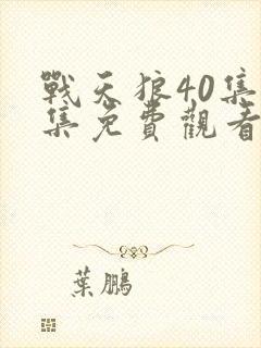 战天狼40集全集免费观看封面