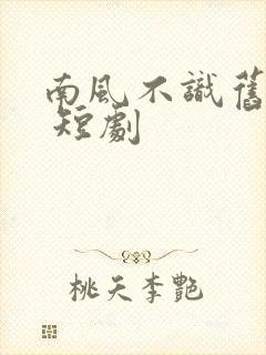 南风不识旧时人 短剧