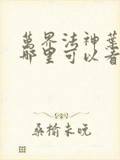 万界法神叶玄在哪里可以看小说