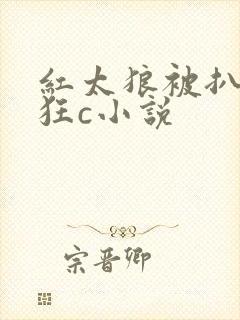 红太狼被扒开腿狂c小说封面