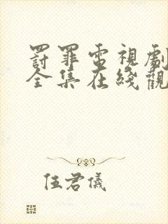 罚罪电视剧免费全集在线观看高清