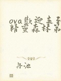 ova欢迎来到精灵森林第三集