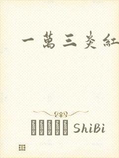 一万三炎红砂封面