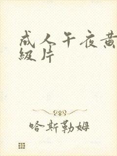 成人午夜黄色一级片