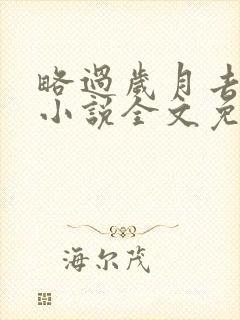 略过岁月去爱你小说全文免费阅读