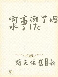 啊高潮了嗯～喷水了17c封面