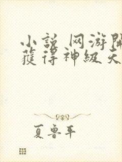 小说 网游开局获得神级天赋