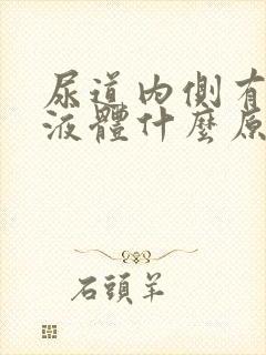 尿道内侧有黄色液体什么原因封面