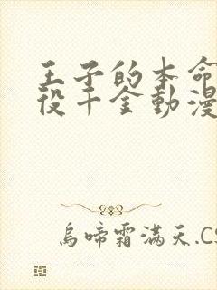 王子的本命是恶役千金动漫在线观