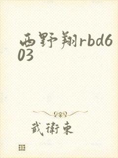 西野翔rbd603