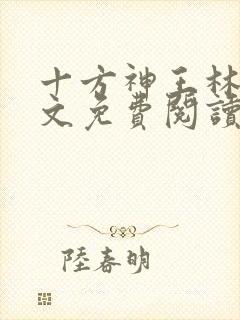 十方神王林天全文免费阅读封面