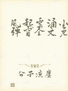 风起云涌小说无弹窗全文免费阅读