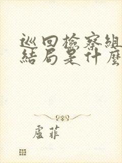 巡回检察组最后结局是什么