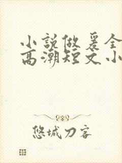 小说做爰全细节高潮短文小说