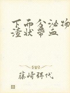 下面分泌物豆腐渣状带血封面