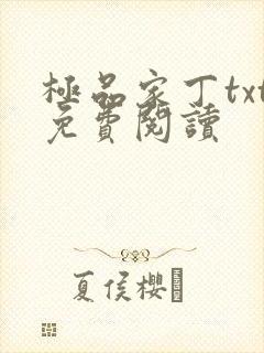 极品家丁txt免费阅读封面