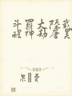 斗罗大陆武魂觉醒神劫唐昊封面