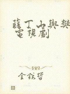 薛丁山与樊梨花 电视剧