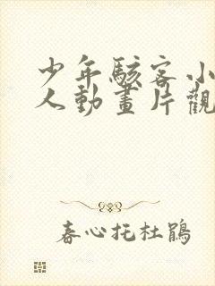 少年骇客小文同人动画片观看免费封面