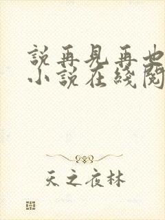 说再见再也不见小说在线阅读封面