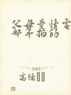 父母爱情电视剧哪年拍的