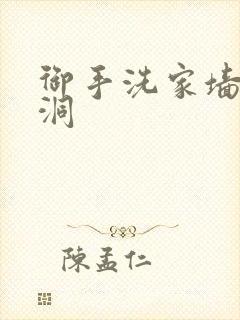 御手洗家墙壁破洞