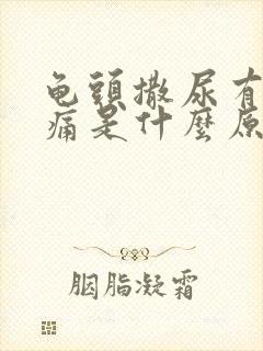 龟头撒尿有点疼痛是什么原因封面