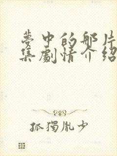 梦中的那片海每集剧情介绍