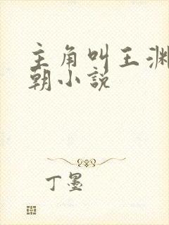 主角叫王渊的明朝小说