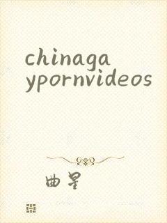 chinagaypornvideos封面