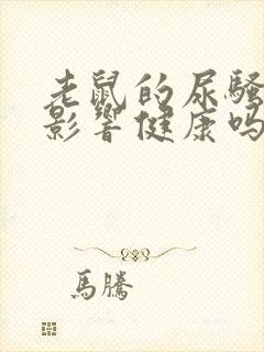 老鼠的尿骚味会影响健康吗