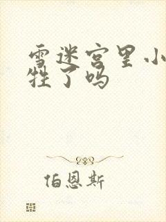 雪迷宫里小光牺牲了吗