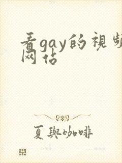 看gay的视频网站
