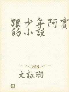 跟少年阿宾一样的小说封面