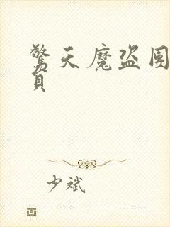 惊天魔盗团2演员封面