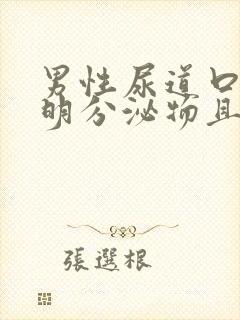 男性尿道口有透明分泌物且拉丝