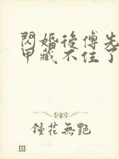 闪婚后傅先生马甲藏不住了完全版封面