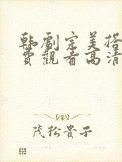 韩剧完美搭档免费观看高清版视频