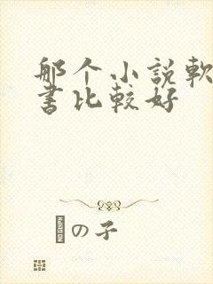 那个小说软件听书比较好封面