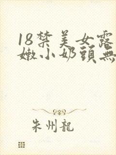 18禁美女露粉嫩小奶头无遮挡