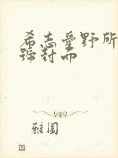 希志爱野所有番号封面