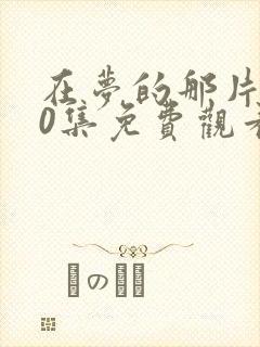 在梦的那片海40集免费观看