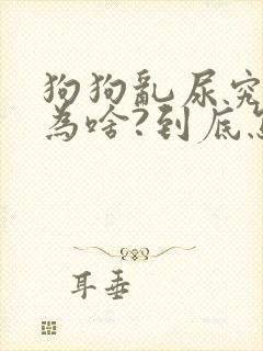 狗狗乱尿究竟是为啥?到底怎么办?