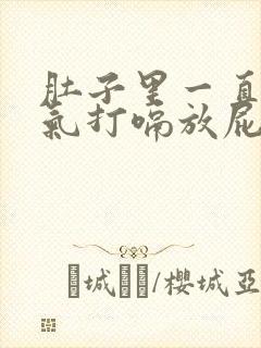 肚子里一直有胀气打嗝放屁封面