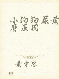 小狗狗尿黄是什么原因