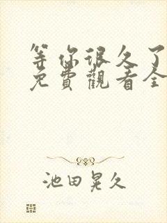 等你很久了电影免费观看全集封面