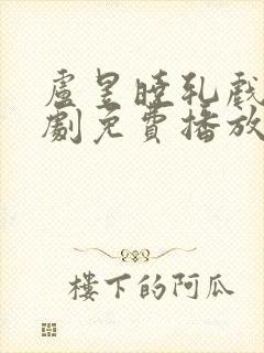 卢昱晓轧戏电视剧免费播放完整版