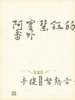 阿宾慧钰的小说番外