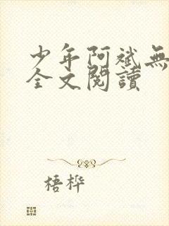 少年阿斌无删减全文阅读